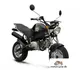 Pitster Pro Mini Monster 125 2012