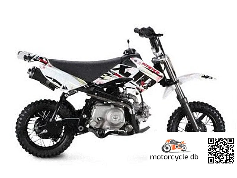 Pitster Pro XJR SS 50 Auto