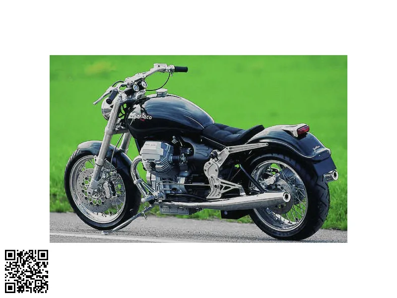G&g Spartaco 1100 2001 Image: 1 G&g Spartaco 1100 2001 54492