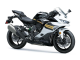 Kawasaki Ninja ZX 4RR Performance 2026 75174 Thumb