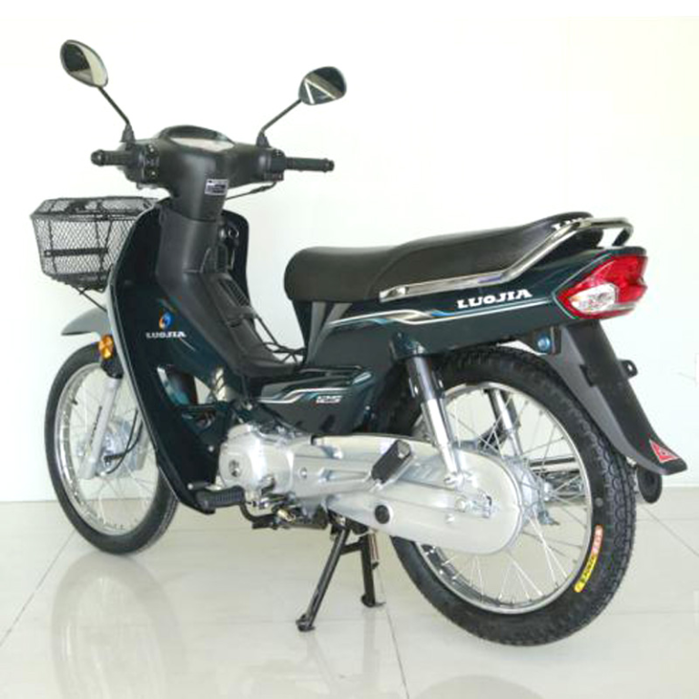 2025 Luojia LJ125-12