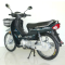 Luojia LJ125-12 2025